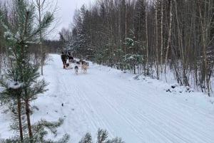 Ryga: Psie zaprzęgi husky i przejażdżka torem bobslejowym