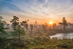 Riga: Ķemeri Sunrise Tour med frukost (grupp eller privat)