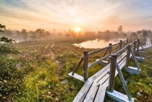 Riga: Ķemeri Sunrise Tour med frukost (grupp eller privat)