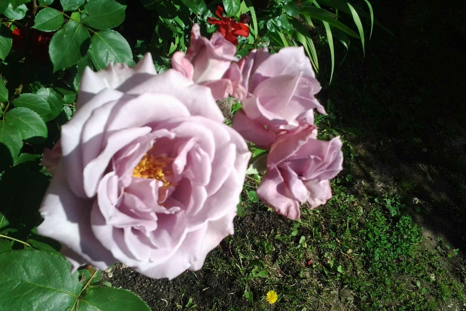 Riga: Nearby Manors and Castles Tour