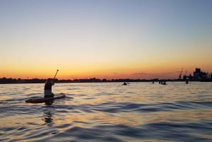 Riga: noleggio di tavole da paddle nel centro della città