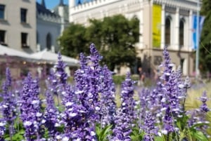 Riga: Private City Highlights Tour incl. Old Town