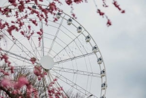 Riga Rise: bilet na gigantyczne koło panoramiczne
