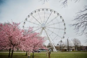 Riga Rise: bilet na gigantyczne koło panoramiczne