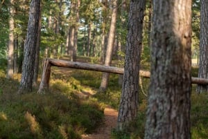 Riika: Kävely merenrantaluonnonpuistossa valokuvaajan kanssa