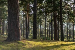 Riika: Kävely merenrantaluonnonpuistossa valokuvaajan kanssa