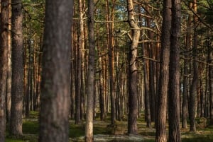 Riika: Kävely merenrantaluonnonpuistossa valokuvaajan kanssa