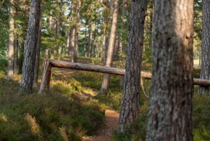 Riika: Kävely merenrantaluonnonpuistossa valokuvaajan kanssa