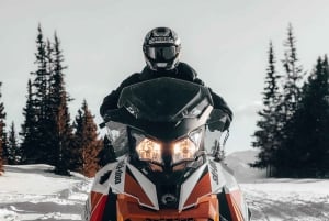 Riga: Snowmobile Adventure with Transfer