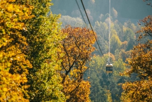 Riga naar Sigulda & Cesis: Ontdek de middeleeuwse kastelen van Letland