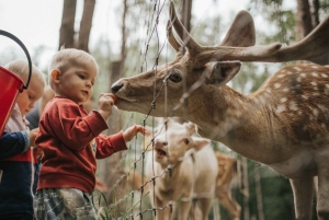 Riga naar Sigulda & Cesis: Ontdek de middeleeuwse kastelen van Letland