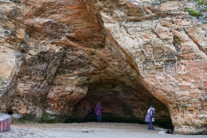 Riga naar Sigulda & Cesis: Ontdek de middeleeuwse kastelen van Letland