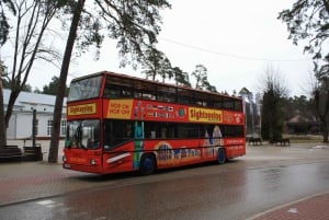 Riga: Transfer från Riga International Airport till centrum