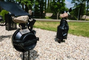 Excursion d'une journée à Sigulda - Ruines du château, grotte de Gūtmaņala, etc.