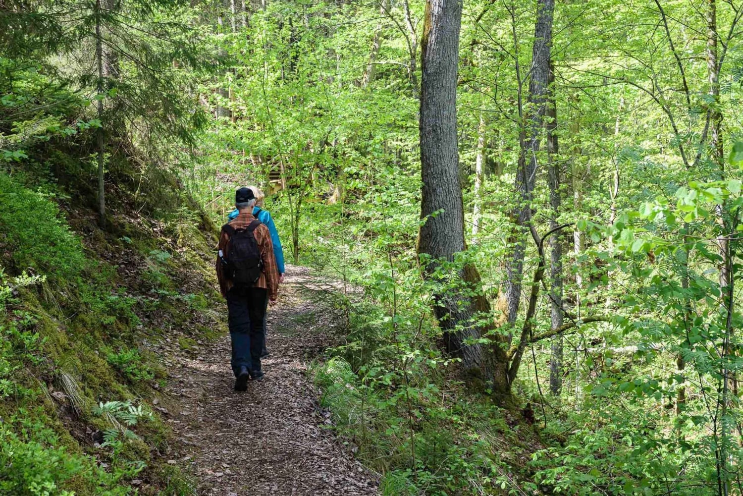Sigulda Wandeltocht: Een dag in het Zwitserland van Letland