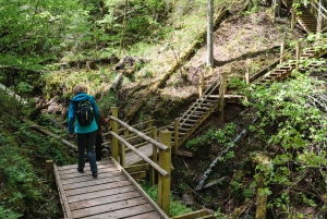 Sigulda Wandeltocht: Een dag in het Zwitserland van Letland