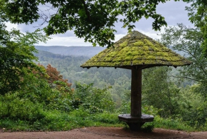 Sigulda Wandeltocht: Een dag in het Zwitserland van Letland