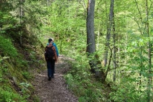 Sigulda Hiking Tour: A Day in the Switzerland of Latvia