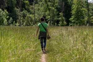 Sigulda: kävely valokuvaajan kanssa Gaujan kansallispuistossa