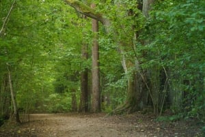 Sigulda: kävely valokuvaajan kanssa Gaujan kansallispuistossa