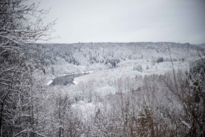 Sigulda: kävely valokuvaajan kanssa Gaujan kansallispuistossa