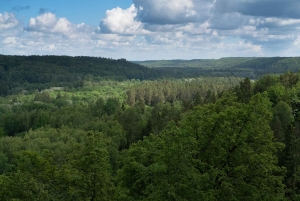Sigulda: Caminha no Parque Nacional de Gauja com um fotógrafo