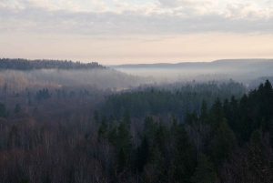 Sigulda: Caminha no Parque Nacional de Gauja com um fotógrafo
