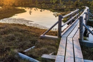 Auringonnousun retki Suurelle Kemerin suolle