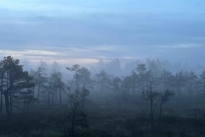 Auringonnousun retki Suurelle Kemerin suolle