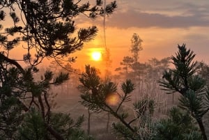 Auringonnousun retki Suurelle Kemerin suolle