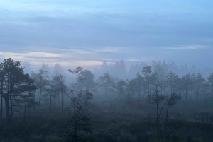 Auringonnousun retki Suurelle Kemerin suolle