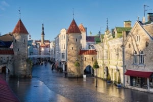 Zwei Länder an einem Tag: Tagesausflug von Riga nach Tallinn