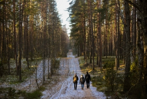 Visaginas: Full-Day Hiking Tour w/ Sauna