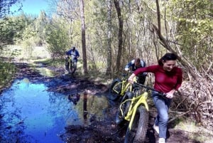 Visaginas: Swamps and Bogs Fat-Bike Tour