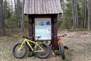 Visaginas: Swamps and Bogs Fat-Bike Tour
