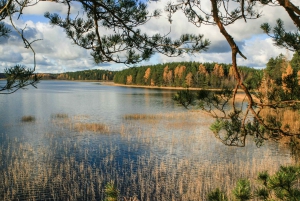 Visaginas: Swamps and Bogs Fat-Bike Tour
