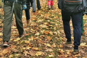 Visaginas: Wild Nature Hiking at Gražutės Regional Park