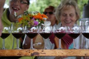 Zemite: Guided Vineyard Tour with Wine Tasting and Snacks