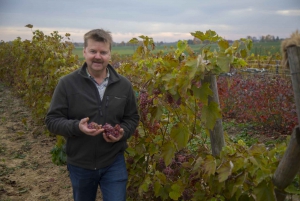 Zemite: Guided Vineyard Tour with Wine Tasting and Snacks