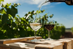 Zemite: Guided Vineyard Tour with Wine Tasting and Snacks