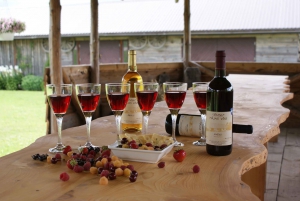 Zemite: Guided Vineyard Tour with Wine Tasting and Snacks