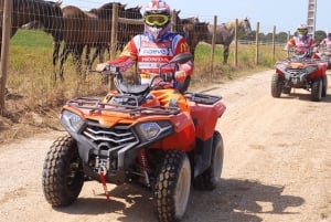 2-Personen-Quad-Tour mit Guide – Carregado, Lissabon