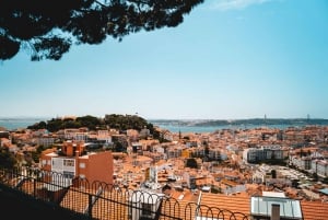 The 7 Hills of Lisbon Tuk Tuk Tour (4-hours)