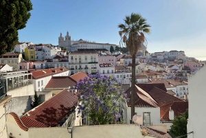 Passeio turístico de 4 horas de TukTuk em Lisboa - Belém, com recolha gratuita