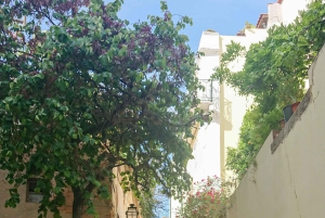 Alfama Photo Walk: Lisbon Photography Tour with a Local