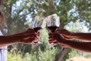 Arrábida og Sesimbra: Dagstur og vinsmaking