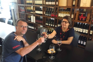 Arrábida and Setúbal: Full-Day Wine Private Tour from Lisbon