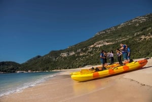 São Lourenço: Luiz Saldanha & Arrábida Park Canoeing Tour