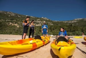 São Lourenço: Luiz Saldanha & Arrábida Park Canoeing Tour