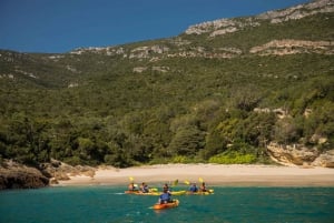 São Lourenço: Luiz Saldanha & Arrábida Park Canoeing Tour